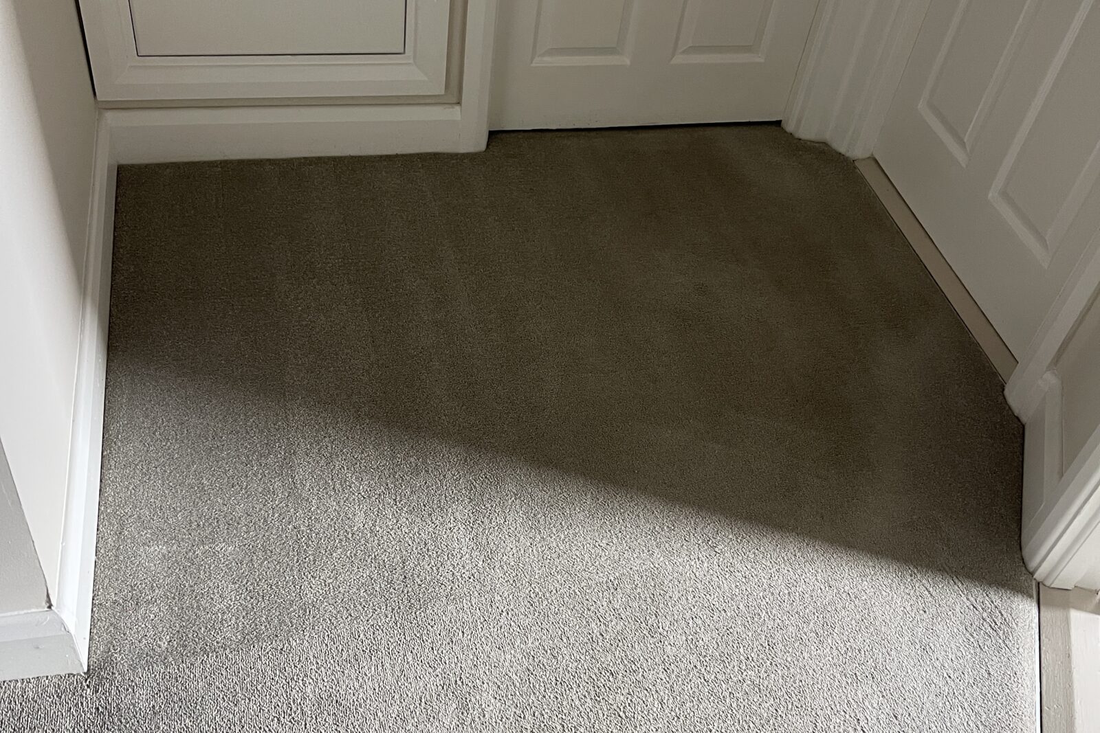 Hallway carpet, cleaned