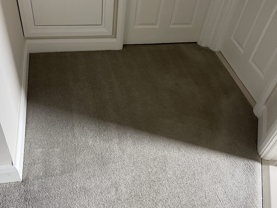 Hallway carpet, cleaned