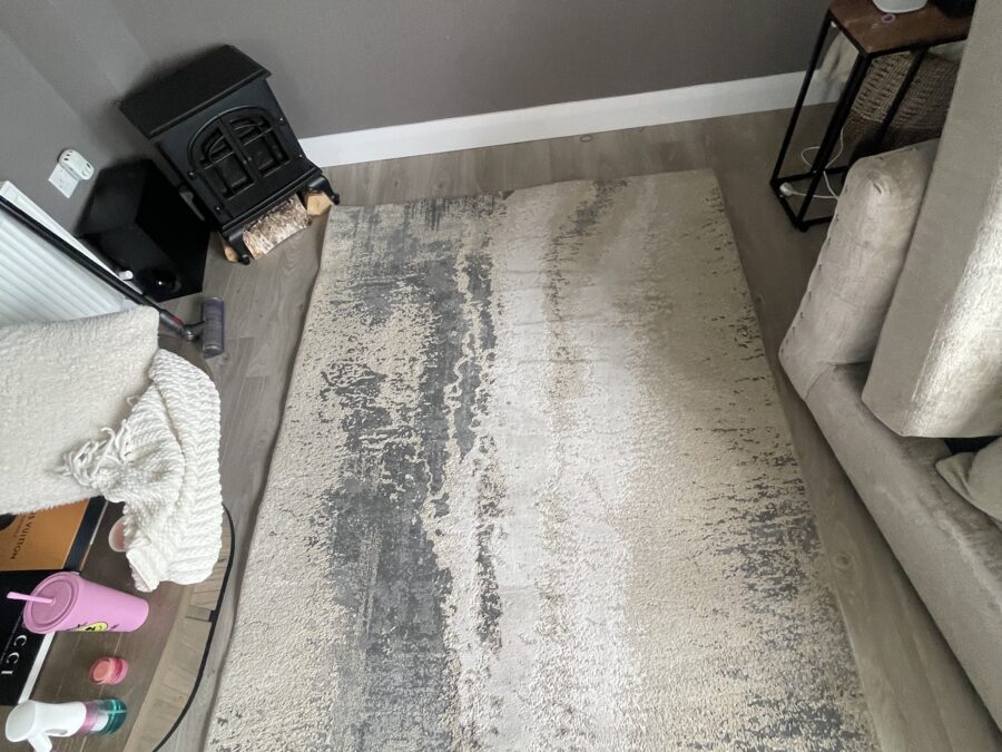 Area rug, deep cleaned
